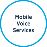 Mobile Voice Services